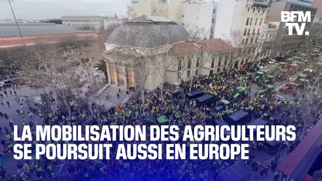 Espagne, Italie, Grèce, Pologne: la mobilisation des agriculteurs se poursuit en Europe