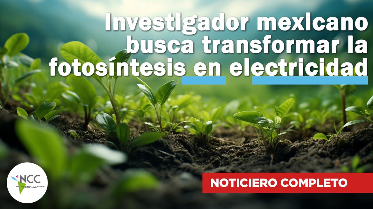Investigador mexicano busca transformar la fotosíntesis en electricidad |632| 26/02/2024 - 03/03/2024