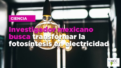 Investigador mexicano busca transformar la fotosíntesis en electricidad