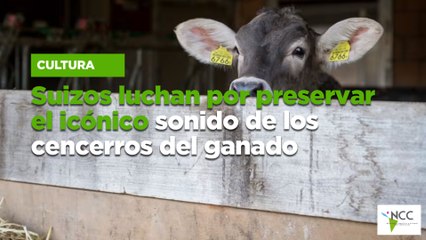 Suizos luchan por preservar el icónico sonido de los cencerros del ganado