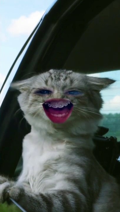 Drôle vidéo humour et rigolo