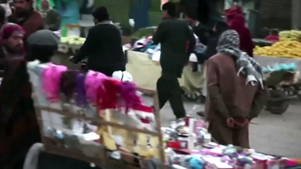 PJ Harvey — The Colour Of The Earth ● PJ Harvey Music Video DVD Collector’s Edition