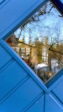 Rentrer à la maison dans une grande famille à fourrure