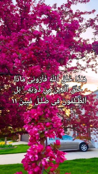 Surah Luqman beautiful Heart melting️voice soothing Quran Recitation