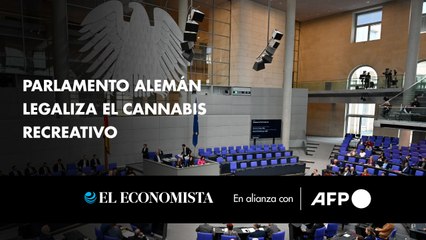 Parlamento alemán legaliza el cannabis recreativo