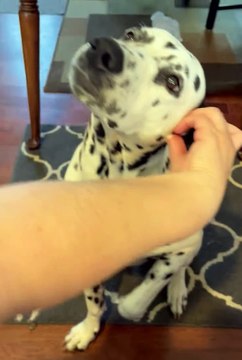 Comment savoir quand vous trouvez le bon point de grattage