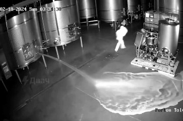 ext-Video: Desconocido desparrama vino por $2,7 millones en bodega española-230224