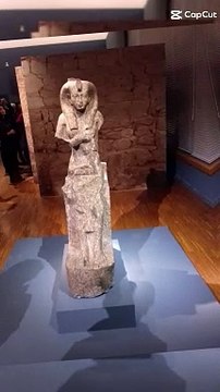 Le Musée de Grenoble est un musée municipal des beaux-arts et des antiquités de Grenoble #france (25)