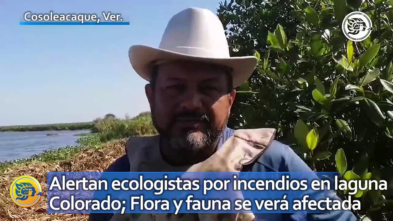 Alertan ecologistas por incendios en laguna Colorado; Flora y fauna se verá afectada