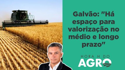 Terras agrícolas no Brasil se valorizam em 2023 | HORA H DO AGRO