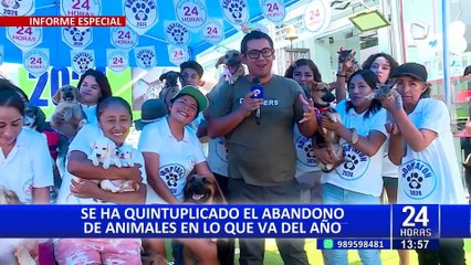 Abandono de mascotas se ha quintuplicado en lo que va del año