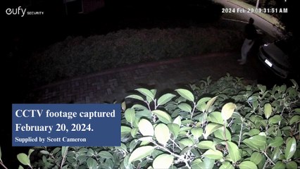 Alleged crimes in Downer and Watson