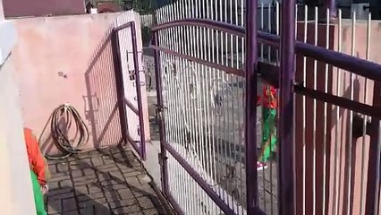 Start Your Day with a Smile: Hilarious Twin Moments Before School 😊