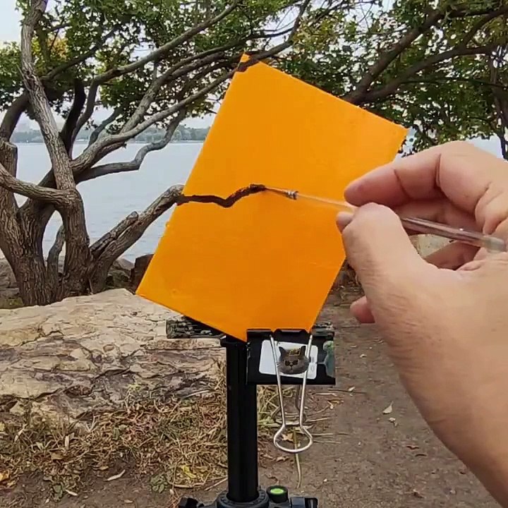 Les œuvres de cette artiste se fondent dans le décor !