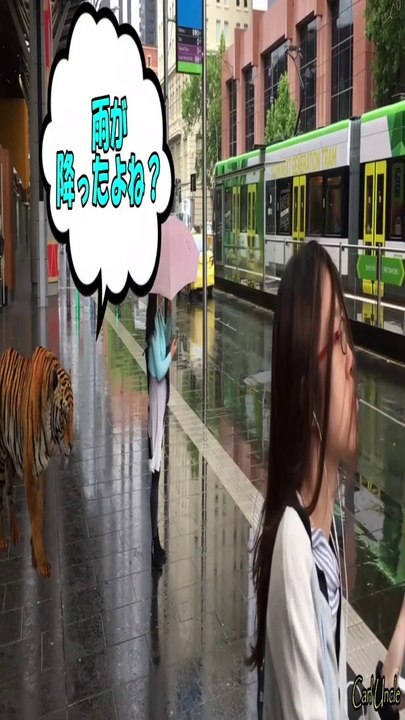 雨が降ったよね？