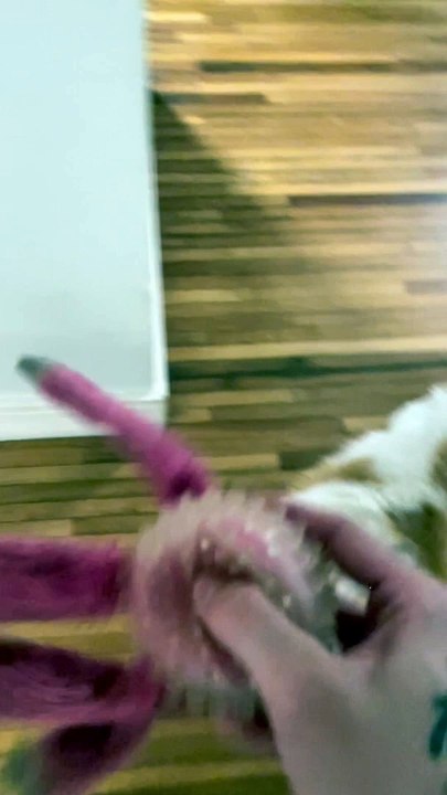 My Golden Retriever Needs Therapy