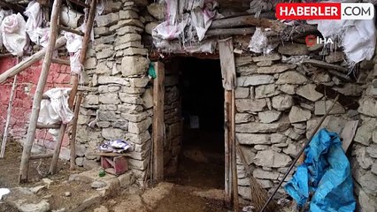 Görme engelli İsmail Kahya hayvancılık yaparak annesine yardım ediyor