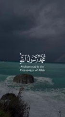 ‏‎♡︎ســـورة _ الفتح آية 29(MP4)