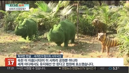 [지구촌톡톡] '이름 때문에' 법정에 선 사자…최고 미모 고양이 찾아라 外