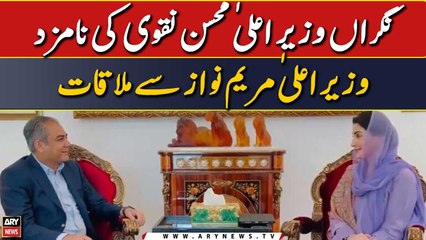 Caretaker CM Mohsin Naqvi's meeting with Maryam Nawaz