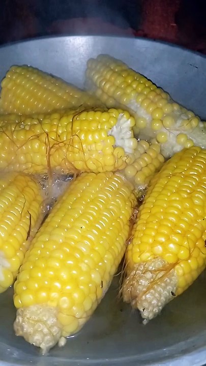 sweet corn