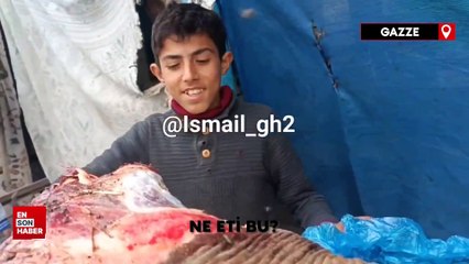 Gazze'de insanlar açlıktan ötürü at eti yemeye başladı