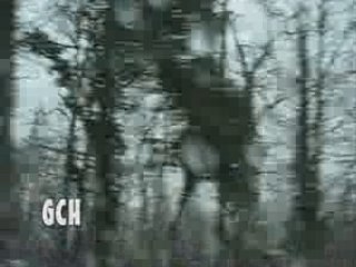 DE22 EL MAY AMAL HIJAZI ¤ GIORGIO SUR ROUTE EN ALSACE 2008