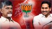 Chandrababu ప్లాన్ లో BJP పాత్ర ఉందా..? YCP కి లాభం ఇందుకేనా..?