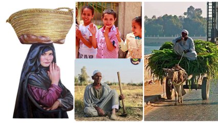 شوارع القاهرة: شريان الحياة في مصر