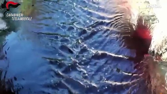 Inquinamento del fiume Sarno, sequestrate due aziende nel Napoletano