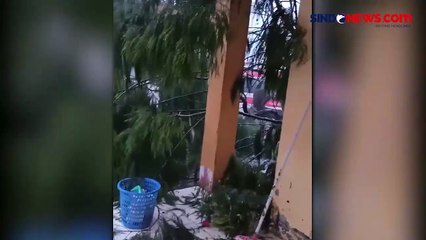 Hujan Badai Landa Sorowako, Atap Rumah Terangkat dan Tumbangkan Pohon