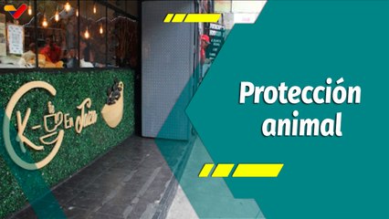 Punto Verde | Kfe en Taza, aporta bienestar y protección animal