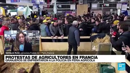 Informe desde París: granjeros franceses protestan en medio del Salón de la Agricultura