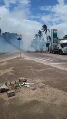 Incêndio em vegetação e queda de poste causam transtornos na AL-220