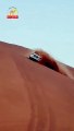 Dubai Safari Desert make memorable trip with Al Qudra Tours