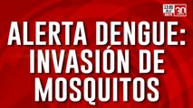Alerta Dengue: los casos aumentaron de 1.000 a 48.000
