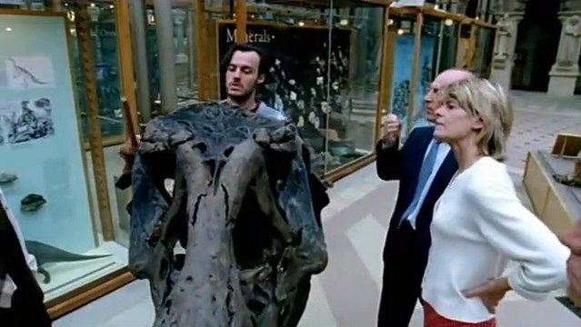 Dragones una Fantasía Hecha Realidad