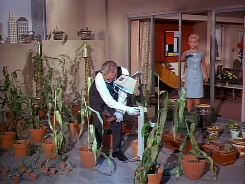 Green Acres S01E01 (Oliver Buys a Farm)