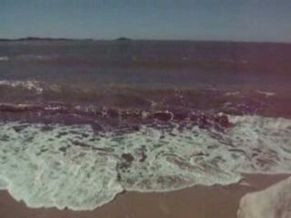 Un ptit coin de plage à Sanary