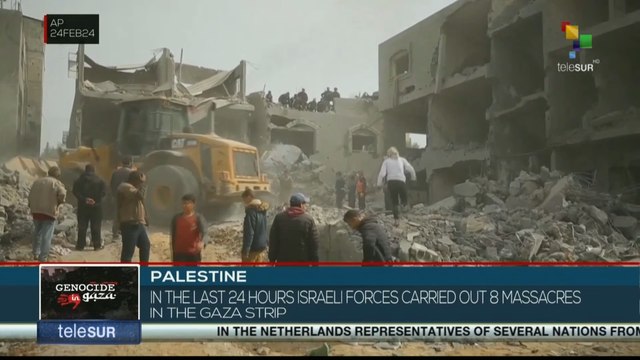 Palestine: Israeli forces carried out 8 massacres in Gaza Strip in the last 24 hours