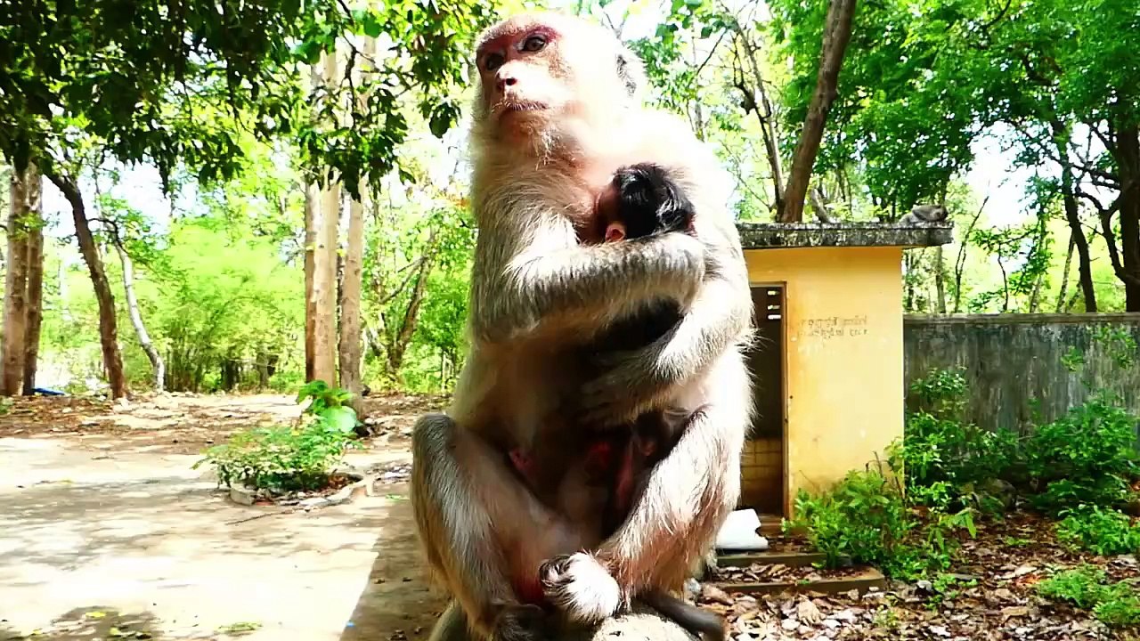 Sweetie mommy Sarah using arm to prepare newborn, before starting going away (720p_25fps_H264-192kbit_AAC)