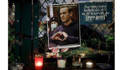 "나발니 시신, 사망 8일 만에 모친에게 전달돼" / YTN