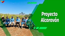Cultivando Patria | Proyecto Alcaraván posiciona a Guárico como potencia agricultora 