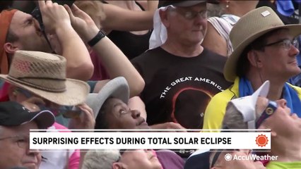 Surprising effects during a total solar eclipse