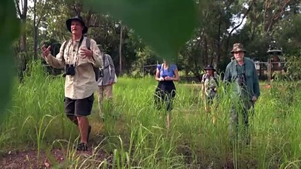 Casuarina Coastal Reserve to Become New National Park, Excluding Lee Point Development Land 🌿