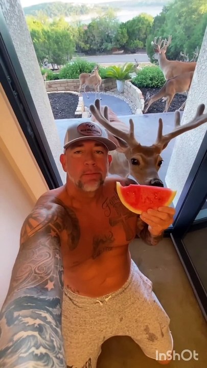 Funny animals hub,funny animals club, , funny animals dancing , funny animals fighting 