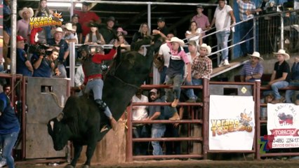 Verano Toreado -  Sábado 24 de febrero