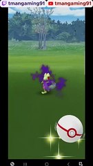 Pokémon GO-Shadow Treecko
