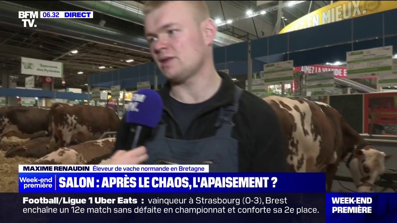 Salon de l'agriculture: pour cette deuxième journée, les éleveurs se préparent au Concours Général Agricole
