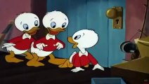 Mickey Mouse, Chip and Dale, Donald Duck Cartoons   Disney Best Cartoon Episodes Compilation #5